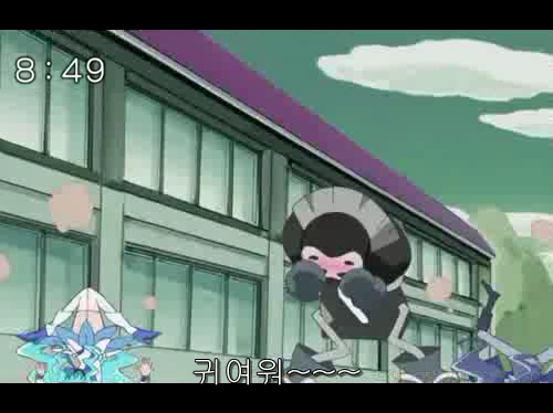 트리안코 이미지
