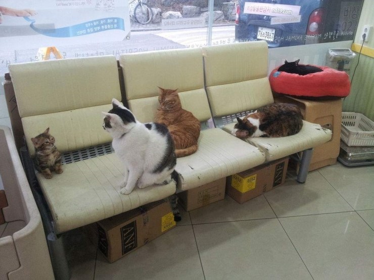 딱일병 이미지