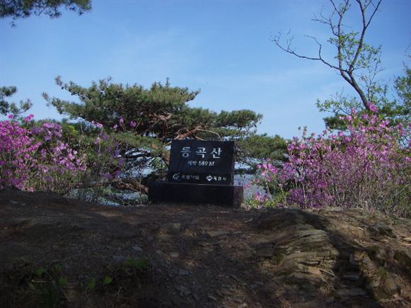 돈산온천주유소 이미지