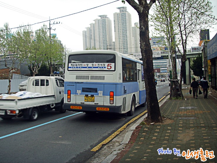 동신스폰지 이미지