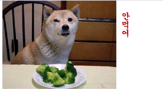 국민야식 이미지