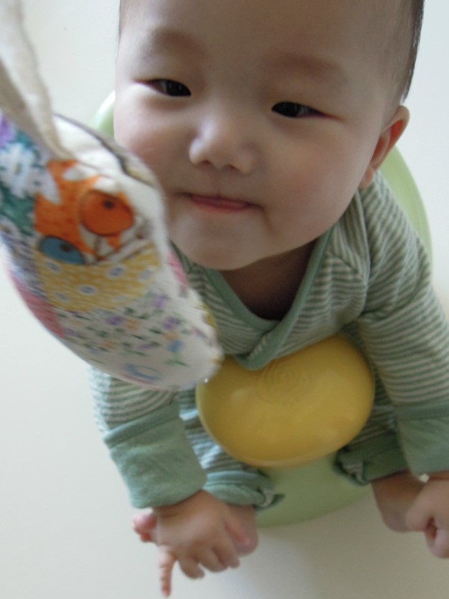 담시온 이미지