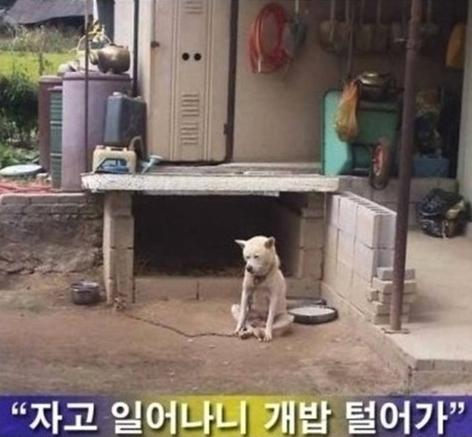 디원스펙 이미지