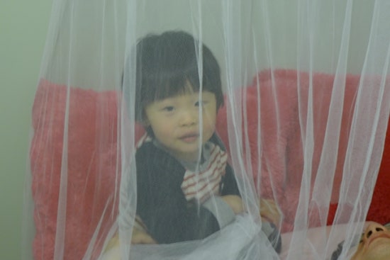 사랑방국시 이미지