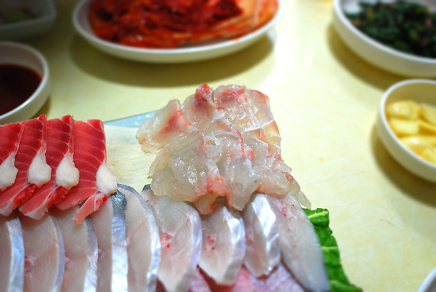 선어야술이야 이미지