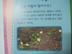 (주)개미창고 이미지