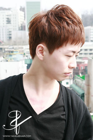 올리브라이브 이미지