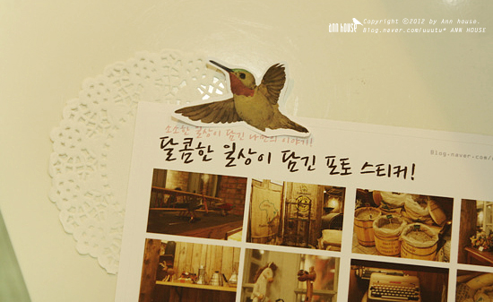 포토플레이오늘우리 이미지