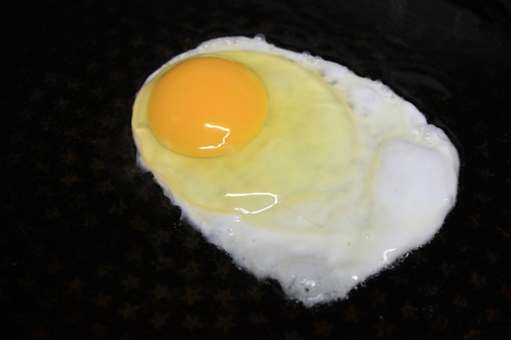 싱싱계란 이미지