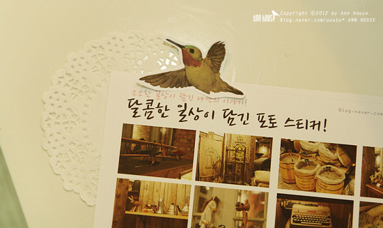 포토플레이오늘우리 이미지