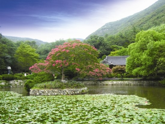 명승조경 이미지
