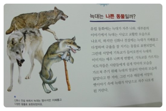 빨간모자 이미지