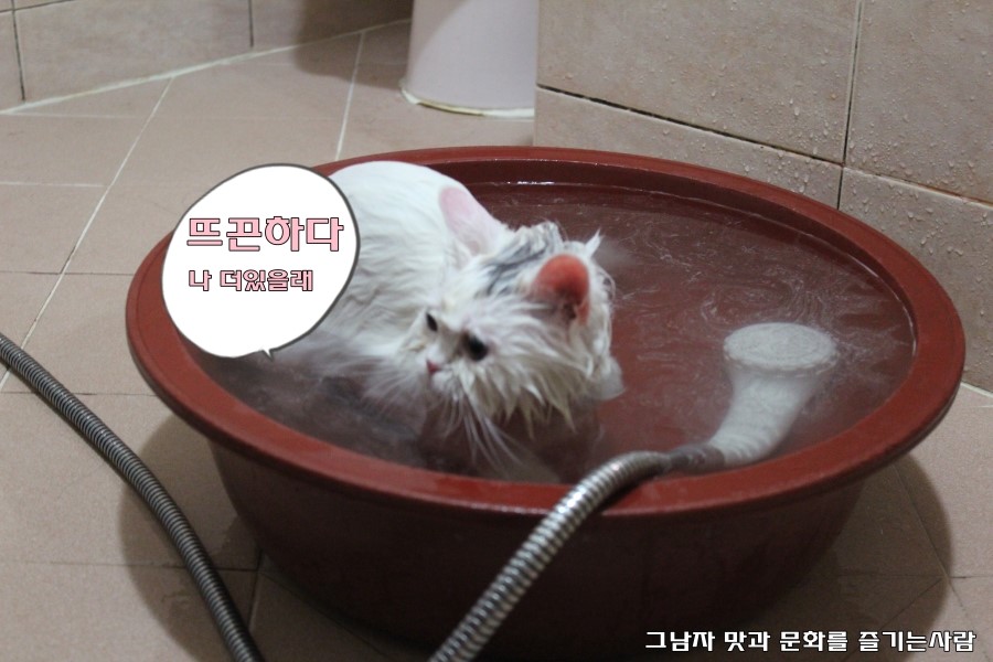 원투pc 이미지