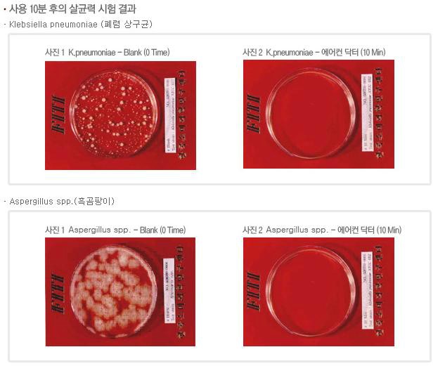 소나이뉴 이미지