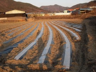 송백농원 이미지