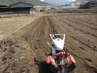 송백농원 이미지