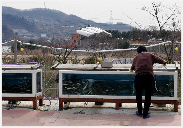 나루터민물매운탕 이미지