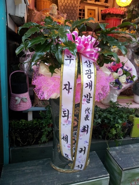 삼광개발 이미지