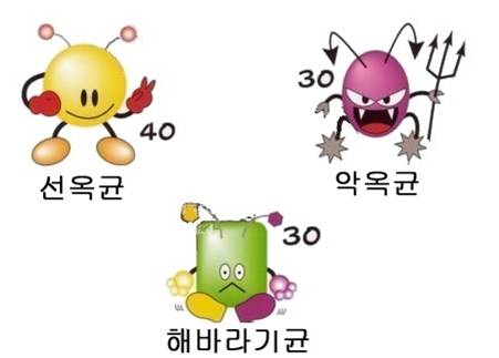 선옥 이미지
