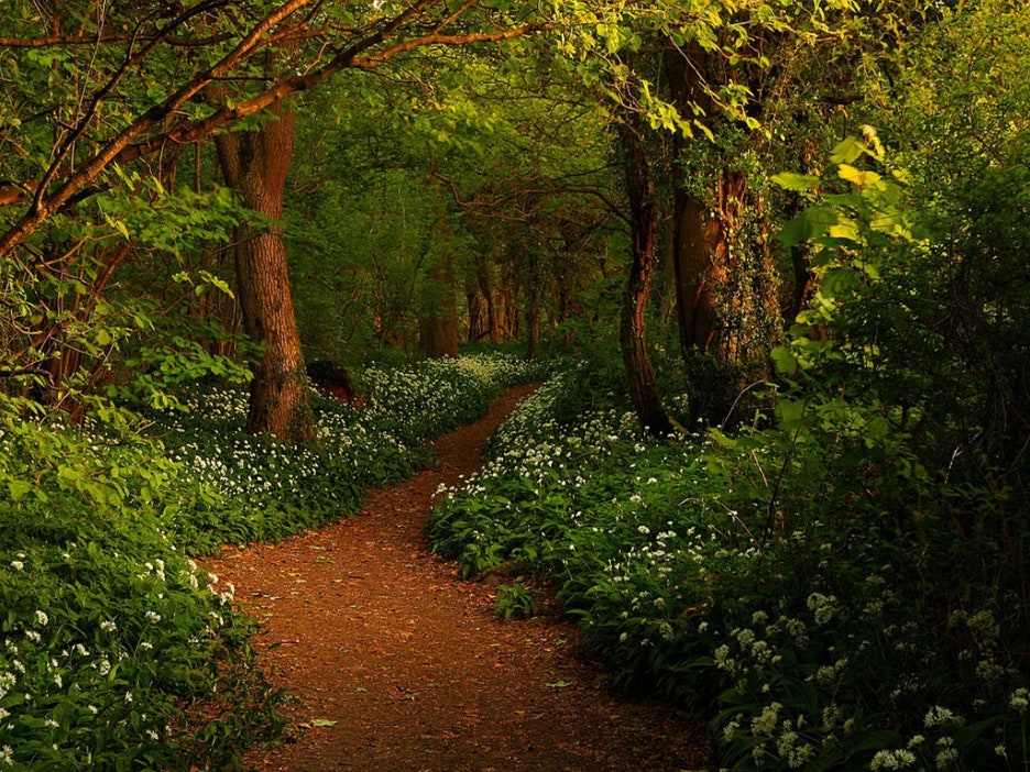 자연 NATURE 이미지