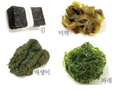 SE푸드 이미지