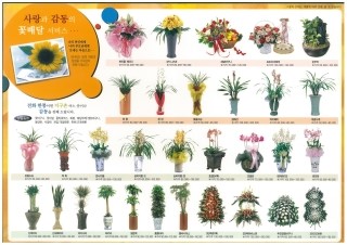 행운꽃농원 이미지