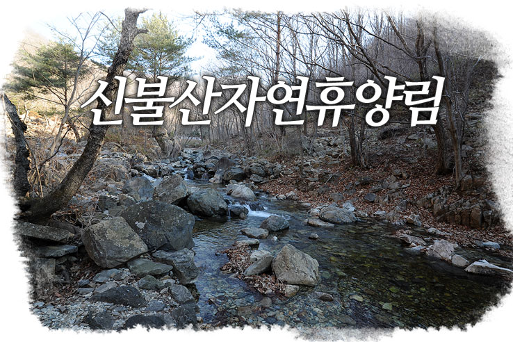 국립신불산자연휴양림 이미지