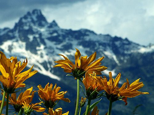 명품LPG충전소 이미지