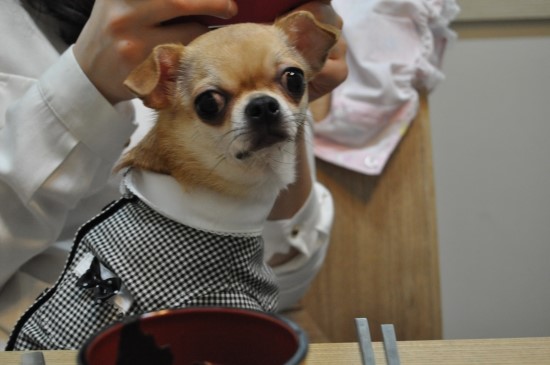 어랑어랑 이미지