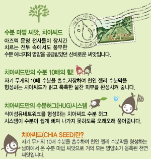 오씨드 이미지