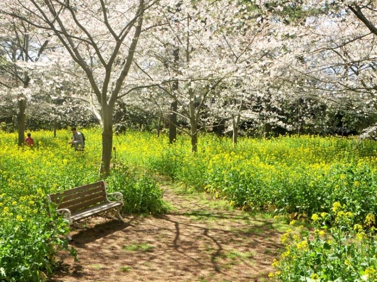 척산추어탕 이미지