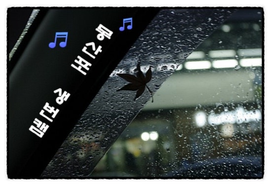리치사랑방 이미지