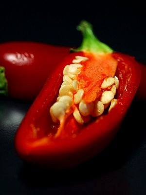 토마토야채과일 이미지
