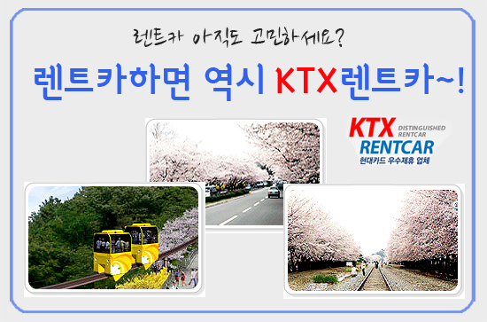 용원카써비스 이미지