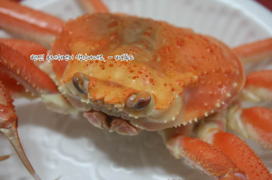 영덕푸드 이미지