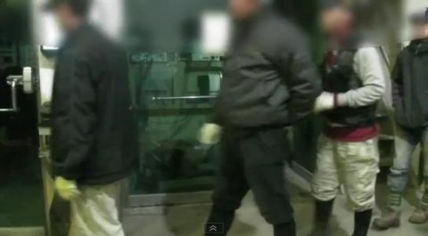 매일직업소개소 이미지