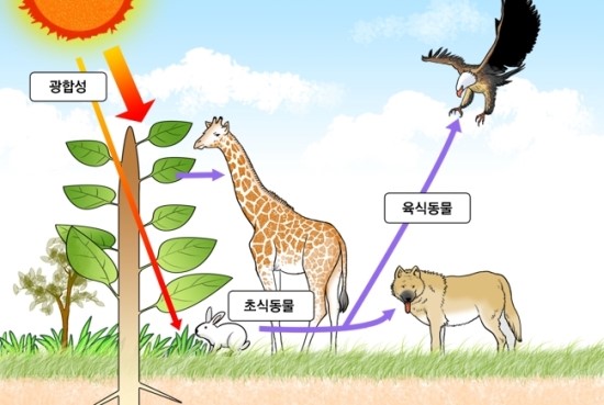 빛과열에너지 이미지