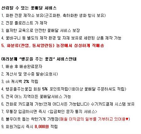 장성꽃배달서비스 이미지
