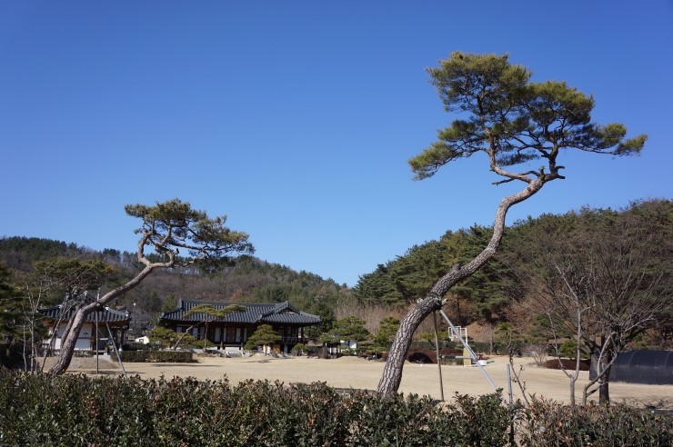 투어피아 이미지