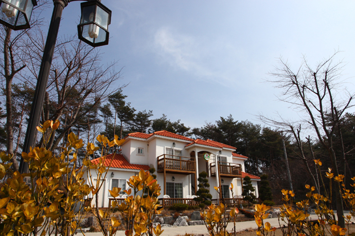 썬샤인조경 이미지