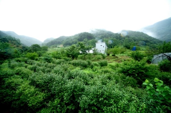 신명식품 이미지