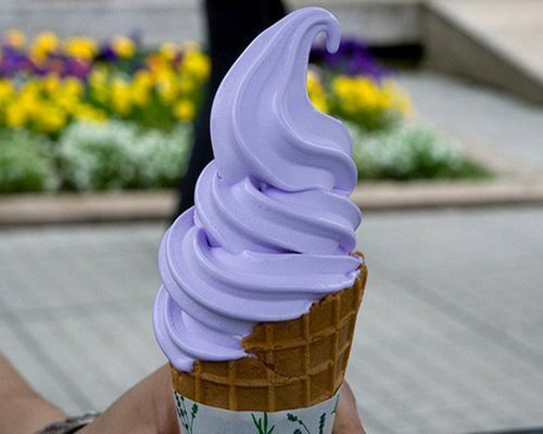 달콤아이스크림 이미지
