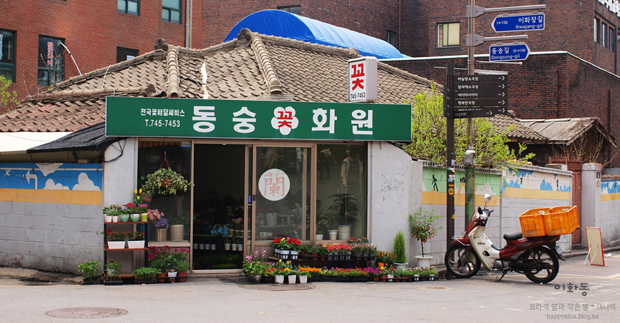 마로니에화원 이미지