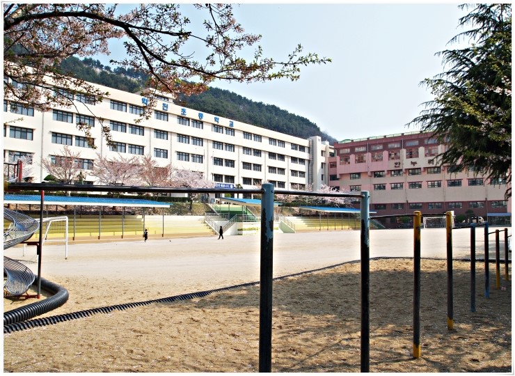 학진초등학교 이미지