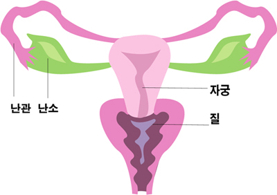 경희권한의원 이미지