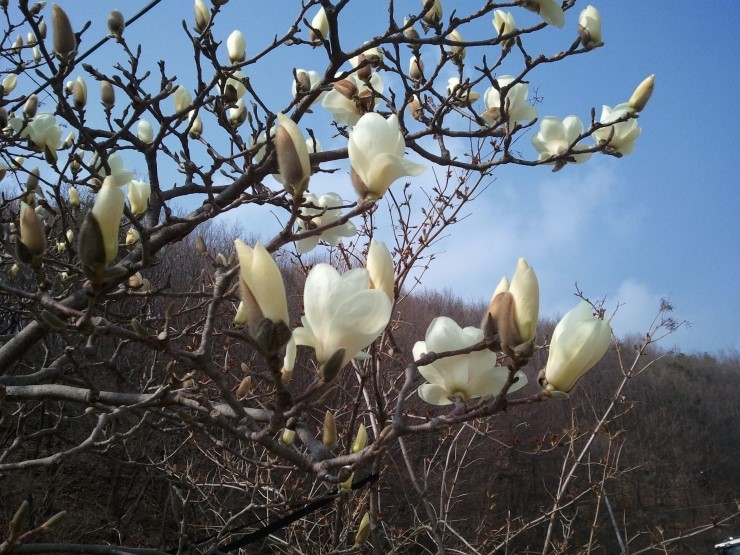 운학골 이미지