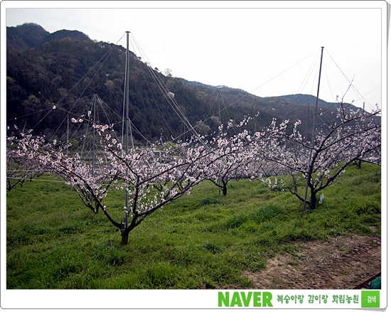 화림농원 이미지