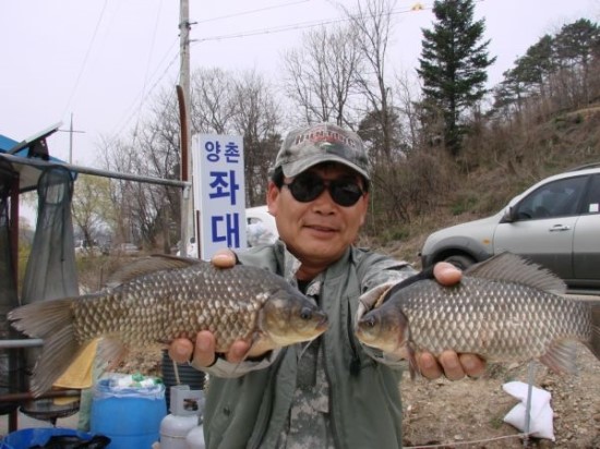양촌주유소 이미지