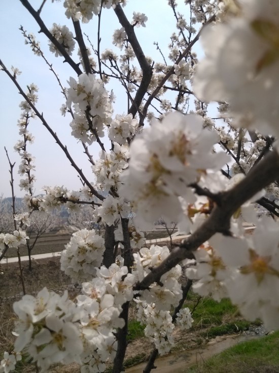 오가식품 이미지
