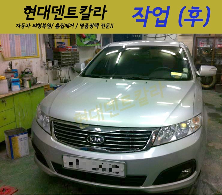 현대덴트칼라 이미지